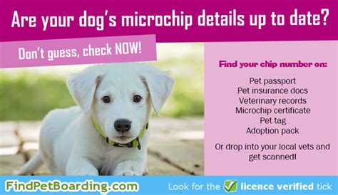 how to track rfid chips in pet|find lost pet by microchip number.